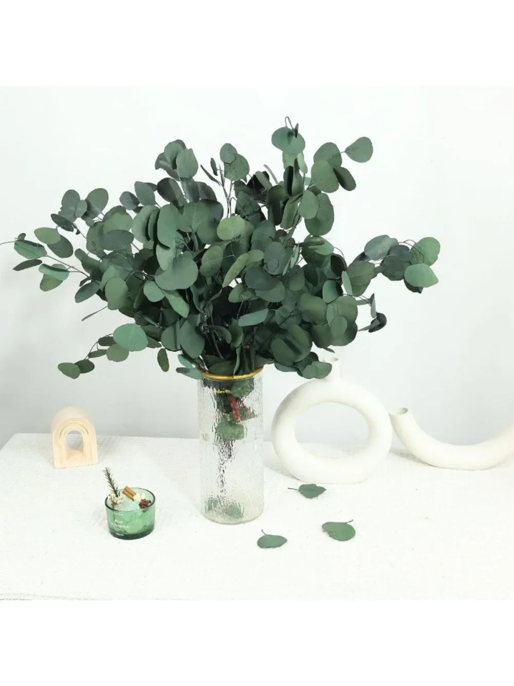 30 Pcs Dried Eucalyptus Stems 17